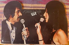 Sonny And Cher Live! - 1971 promo standee - RARE!! Approximately 22” X 14”