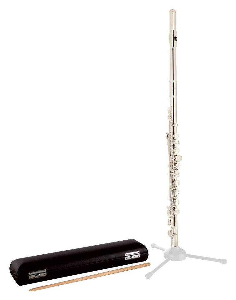 Flauto Traverso Nichel Argento Fori Chiusi Piatto Labbra: Argento Sterling 925 - Immagine 3 di 4