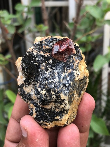 Rare Red Zircon with Geothite UniqueSpecimen - Picture 7 of 7