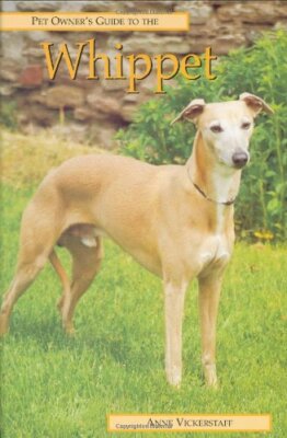 Pet Owner's Guide to the Whippet By Ann Vickerstaff 9781860541889
