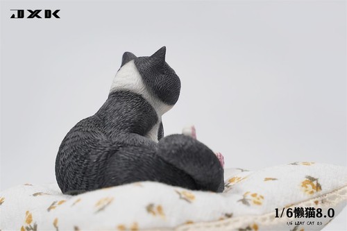 JXK 1/6 Lazy Cat 8.0 Model Pet Cute Animal Scene Decor Soldier Accessory Gift - Picture 22 of 22
