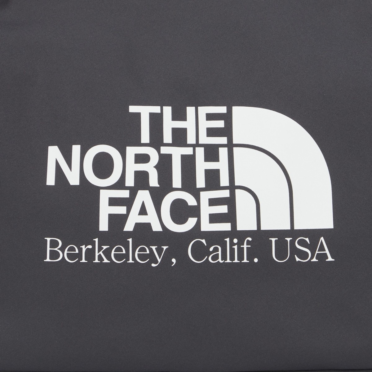 New THE NORTH FACE BIG LOGO SHOULDER BAG DARK GRAY NN2PQ15N