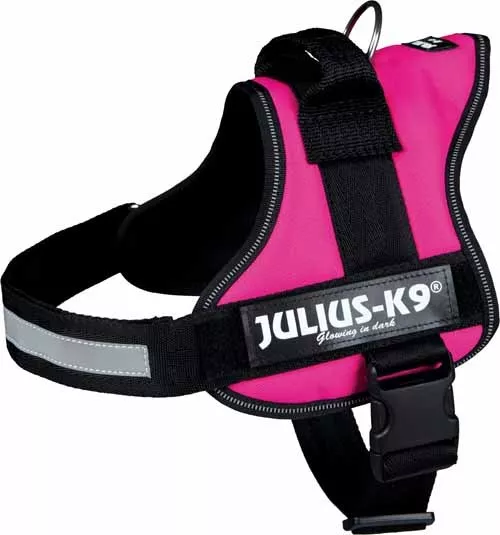 Julius k9 top camo harness