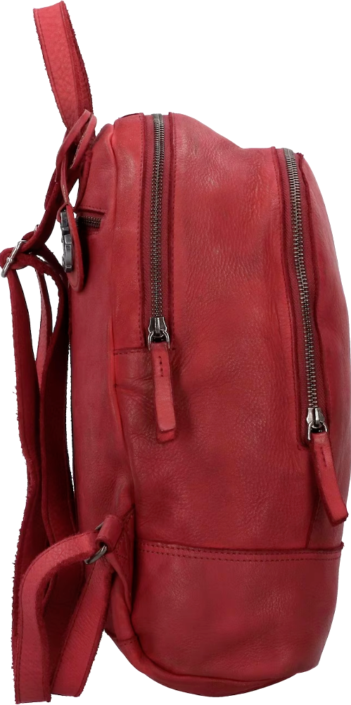 NWT HARBOUR 2ND MEGHAN LEATHER DOUBLE ZIP BACKPACK TERRA | eBay display picture 1