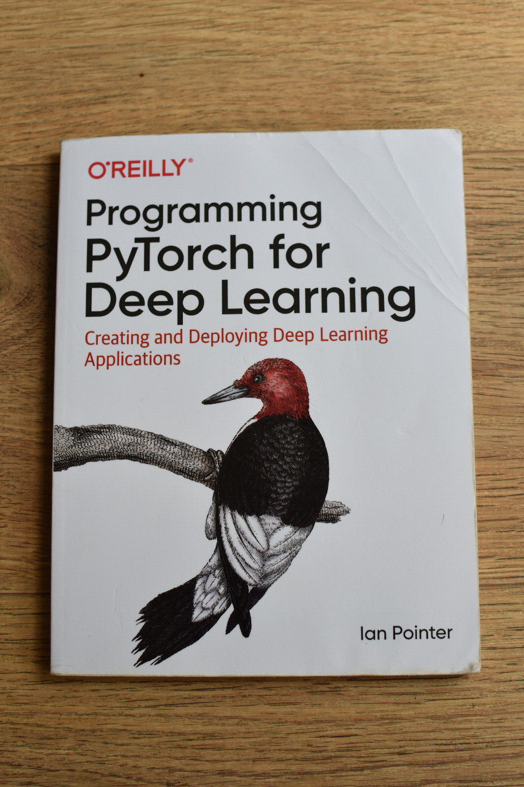 Programming PyTorch for Deep Learning: Creating and Deploying Deep Learning...