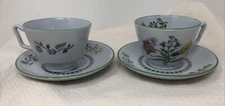 2 SPODE Summer Palace Fine Stone Tea Cup and Saucer Sets Floral Green Trim