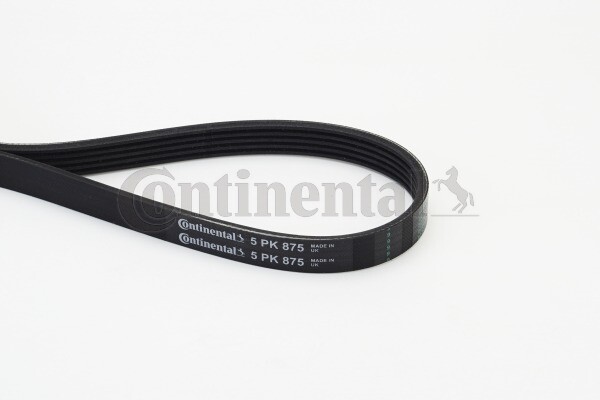 Continental Ctam 5PK875 Keilrippenriemen 5 Rippen 875 Mm FüR Alfa Romeo-image