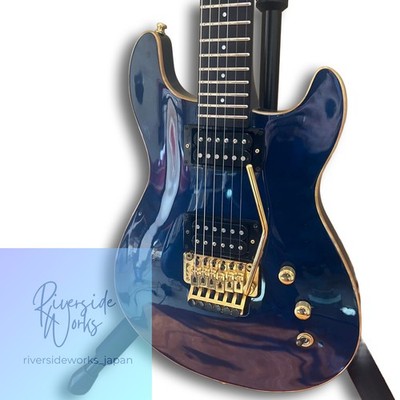 Seltene FERNANDES APG-160