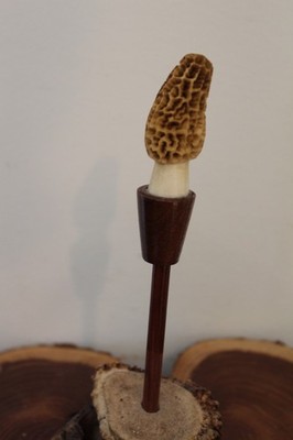 Custom Made Whitetail Deer Antler Morel Turkey Round Tip Pot Striker