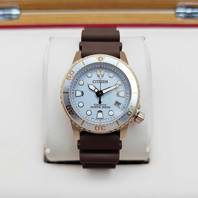 Citizen Eco-Drive Rose Gold Silver Dial Promaster Diver Women's