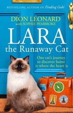 Lara The Runaway Cat: One Cat's Journey to Discover Home is Where the Heart is b