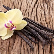 4 oz Candle Scent Oil-VANILLA MUSK