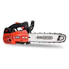 NEW 2511 Top Handle Chainsaw Gas Powered 12 Inch Portable Little Saw 25CC 1100 W