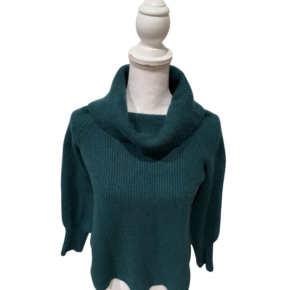Suéter Cuello Capucha Cachemira Acanalado Calanthe Soft Surroundings Verde S Foto 3 de 4