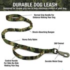 Bild 37 von 37