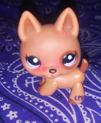 Littlest Pet Shop lot of 9 mixed pets Included Dog, Cat, Bunny, Panda Bear, - Picture 3 of 23