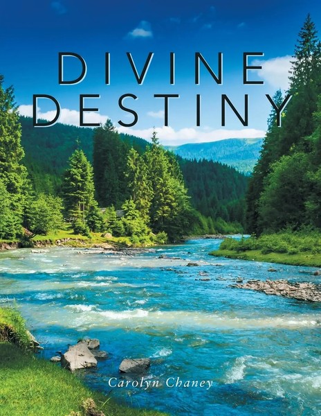 Divine Destiny Carolyn Chaney Taschenbuch Kartoniert / Broschiert Englisch 2018-image