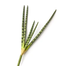 Package of 2 Artificial Cylindrical Snake 20" Plant Stems