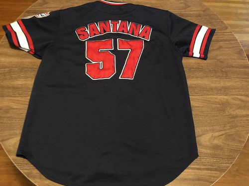 Ervin Santana Minnesota Twins MLB Baseball Large Navy Blue Jersey - Picture 2 of 9