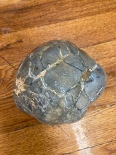 a brainlike stone coral undergoing jasperisation weighting 4 and 1/4 pounds