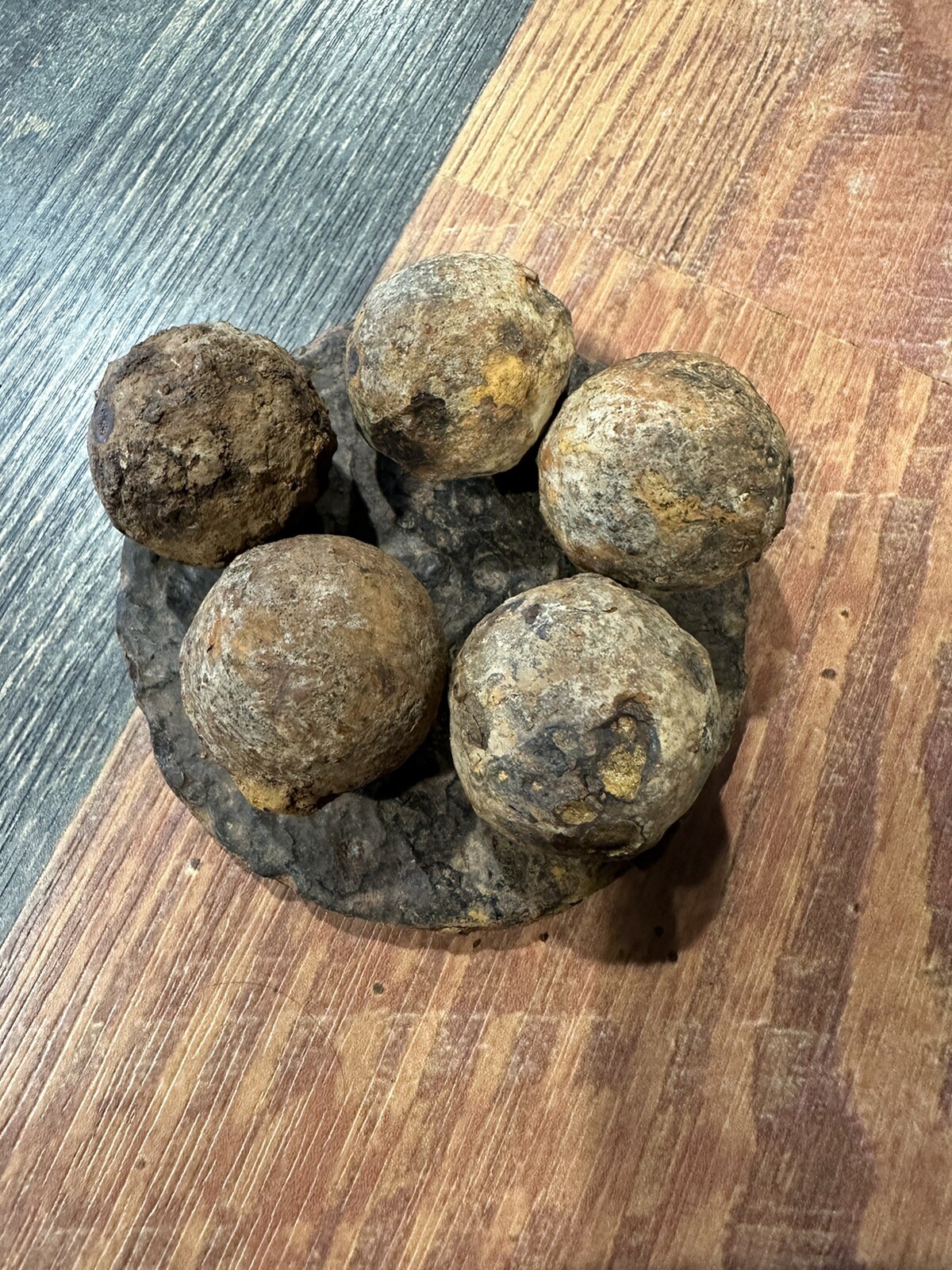 Civil War Canister Shot With Plate, Battle Of Shiloh eBay