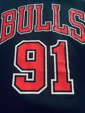 Champion Dennis Rodman jersey