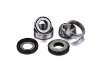 Factory Links Lenkkopflager-Kit FüR Beta EVO 300 2T 2012-23
