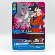 Dragon Ball Z DBZ Data Carddass Son Goku 027-P-  Plastic Card TCG Japanese Mint