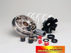 variatore malossi scarabeo 50 2t