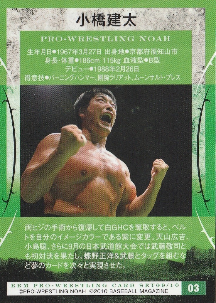 PRO-WRESTLING NOAH GREAT VOYAGE’07 9.9 日本武道館大会 [DVD] PRO-WRESTLING NOAH GREAT VOYAGE'07 9.9 日本武道館大会 [DVD
