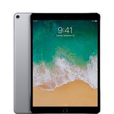 Used Apple iPad Pro 10.5 in 2017 Wifi, 256 GB, Screen Distortion, Pristine
