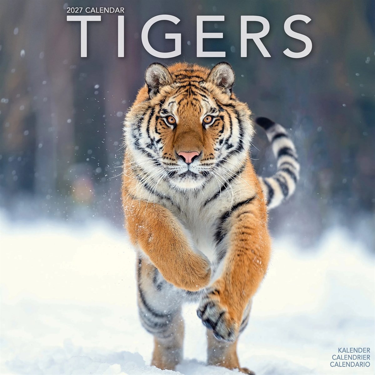 Tigers Calendar 2027, Wall Calendars, Month To View, Animals, Gift - Image 4