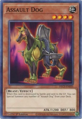 Yugioh Assault Dog DLCS EN035 Common 1st Edition Near Mint 