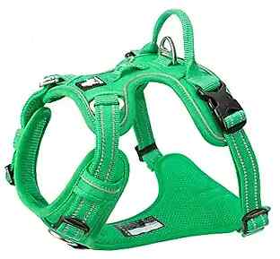 Dog Harness No Pull Nylon Reflective Pet Harness Adjustable S Grass Green