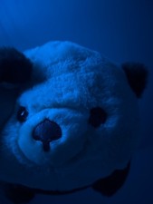 aurora brown bear 8 plush stuffed animals