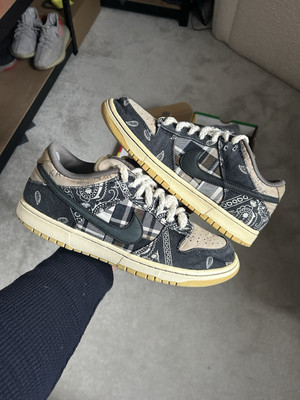 cactus jack sb shoes
