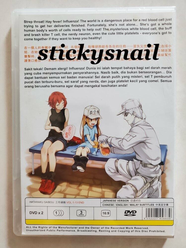 DVD Anime Hataraku Saibou /Cells at Work Complete Series (1-13) English  Subtitle