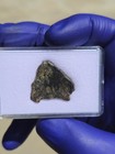 NWA 13636 Eucrite Unbrecciated Meteorite 1.476g Full Slice Rare w/ COA  — photo 7