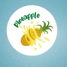 20 PINEAPPLE ENVELOPE SEALS LABELS STICKERS  2 IN ROUND