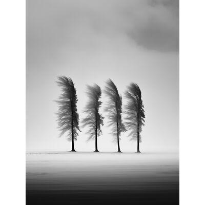 Still Holding Strong Black and White Winter Landscape XL Wall Art Canvas Poster