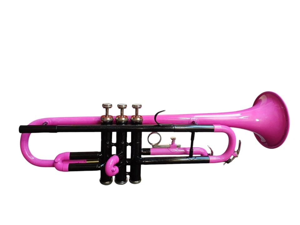 НОВАЯ ТРУБА НОВАЯ РОЗОВАЯ ЧЕРНАЯ ЛАТУННАЯ ОТДЕЛКА BB КЛЮЧИ ТРУБА БЕСПЛАТНЫЙ ЖЕСТКИЙ ЧЕХОЛ - Изображение 2 из 4