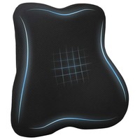 RüCkenkissen Schwarz Viscoschaum 40 X 40 X 11 Cm RüCken Kissen Dekokissen Wohnzi