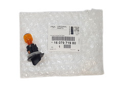 Ampoule Ford KUGA