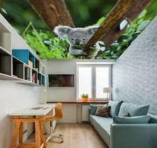 3D Cute Koala A5365 Ceiling WallPaper Murals Wall Print Decal Deco AJ WALL Fay