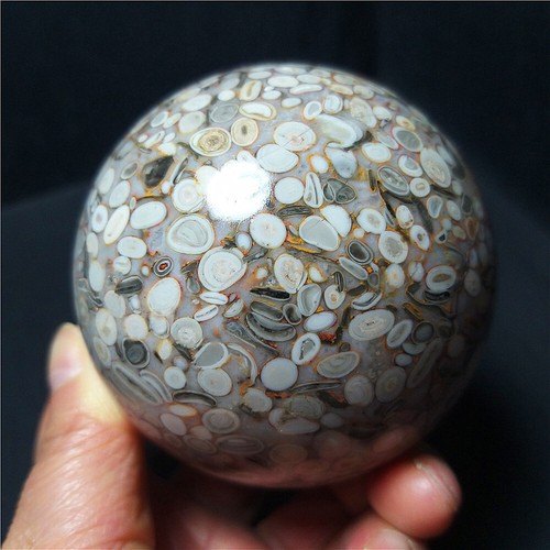 TOP 529G 71mm Natural Polishing Ocean Jasper Ecology Ball Healing Stoae BA860 - Picture 9 of 17