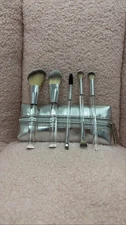 LimeLife by Alcone 5 PC Makeup Brush Set with Silver Case