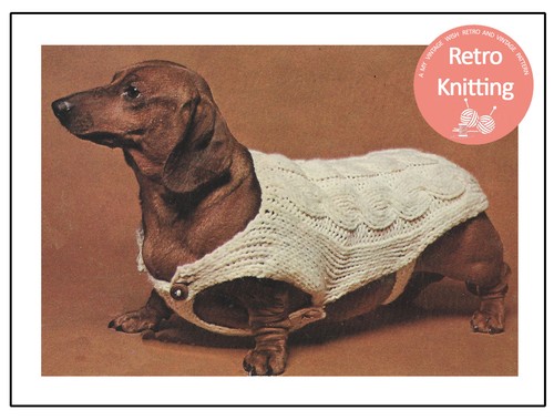 Dachshund Dog Coat Knitting Pattern 