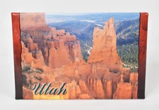 FRIDGE MAGNET UTAH  USA America TOURIST