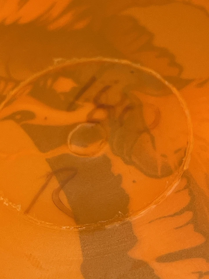 Диск-гольф Innova 2021 USDGC Orange Champion плазменный roc Purple Bird 180 г - Изображение 3 из 4