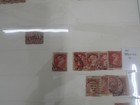 Nystamps Canada many old stamp collection u11np — photo 4